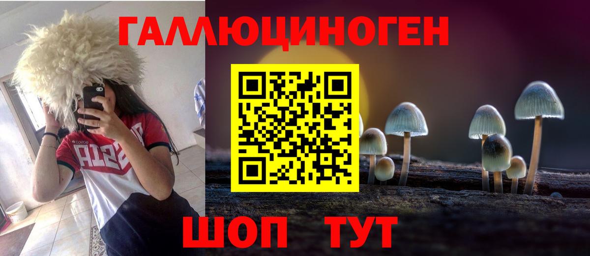 Псилоцибиновые грибы GOLDEN TEACHER Кондопога
